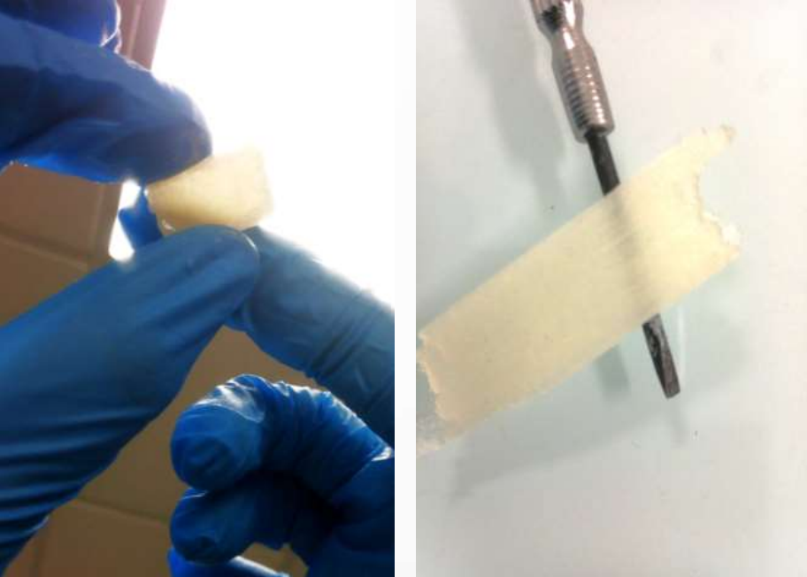 Projet de TIPE : conception de bois transparent